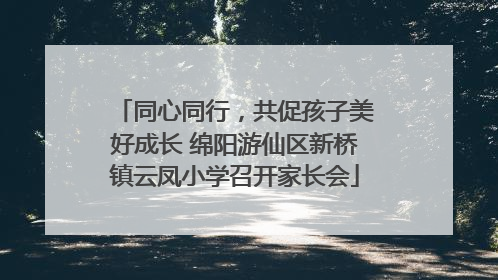 同心同行，共促孩子美好成长 绵阳游仙区新桥镇云凤小学召开家长会