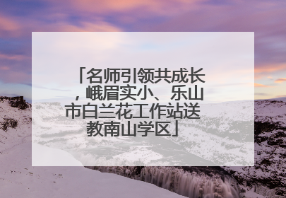 名师引领共成长，峨眉实小、乐山市白兰花工作站送教南山学区