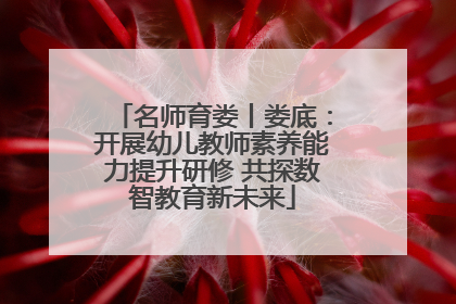 名师育娄丨娄底：开展幼儿教师素养能力提升研修 共探数智教育新未来