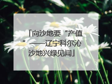 向沙地要“产值”——辽宁科尔沁沙地兴绿见闻