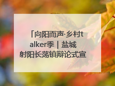 向阳而声·乡村talker季｜盐城射阳长荡镇辩论式宣讲有看头有热度