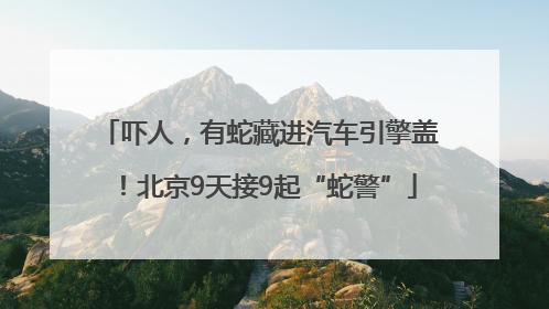 吓人，有蛇藏进汽车引擎盖！北京9天接9起“蛇警”