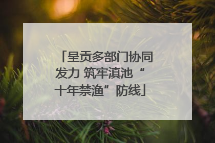 呈贡多部门协同发力 筑牢滇池“十年禁渔”防线
