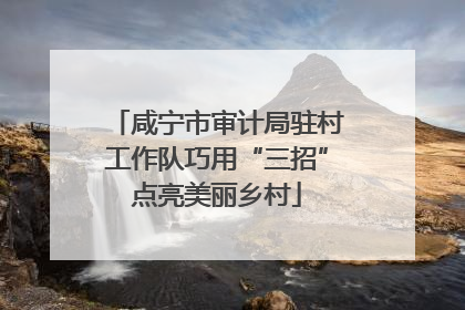 咸宁市审计局驻村工作队巧用“三招”点亮美丽乡村