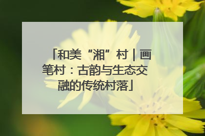和美“湘”村｜画笔村：古韵与生态交融的传统村落