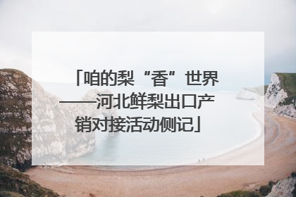 咱的梨“香”世界——河北鲜梨出口产销对接活动侧记