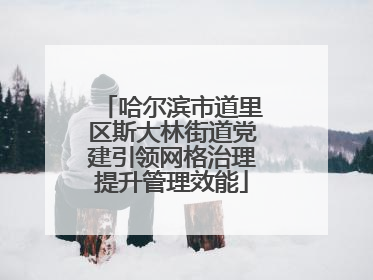 哈尔滨市道里区斯大林街道党建引领网格治理提升管理效能