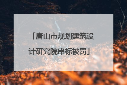 唐山市规划建筑设计研究院串标被罚