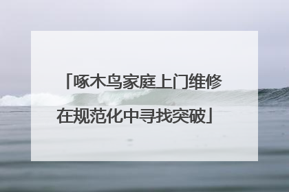 啄木鸟家庭上门维修在规范化中寻找突破