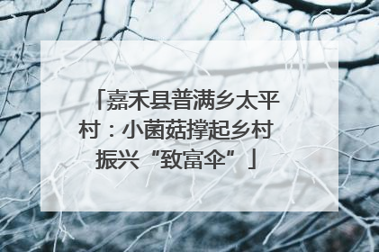 嘉禾县普满乡太平村：小菌菇撑起乡村振兴“致富伞”