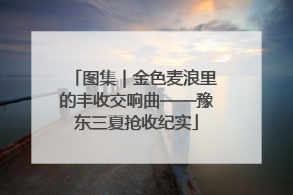 图集｜金色麦浪里的丰收交响曲——豫东三夏抢收纪实