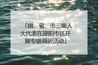国、省、市三级人大代表在邵阳市区开展专题调研活动