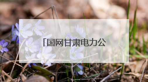 国网甘肃电力公司：电力交易含“绿”量不断上升