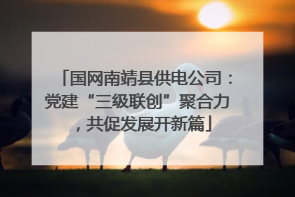 国网南靖县供电公司：党建“三级联创”聚合力，共促发展开新篇