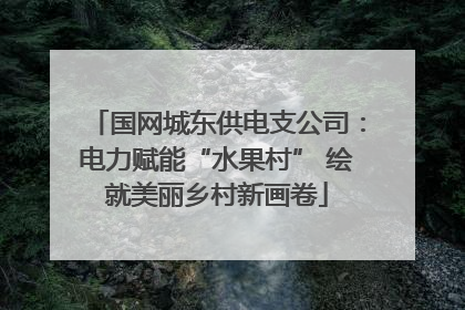国网城东供电支公司：电力赋能“水果村” 绘就美丽乡村新画卷
