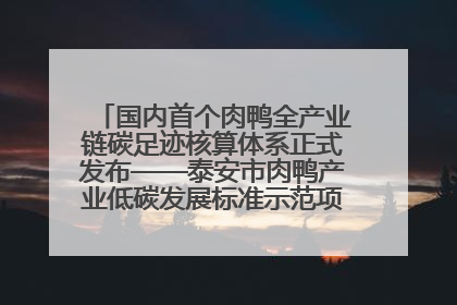 国内首个肉鸭全产业链碳足迹核算体系正式发布——泰安市肉鸭产业低碳发展标准示范项目顺利通过验收
