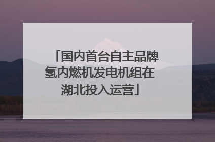 国内首台自主品牌氢内燃机发电机组在湖北投入运营
