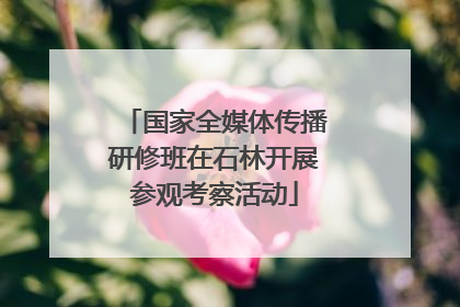 国家全媒体传播研修班在石林开展参观考察活动