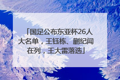 国足公布东亚杯26人大名单，王钰栋、蒯纪闻在列，王大雷落选