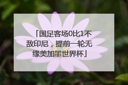 国足客场0比1不敌印尼，提前一轮无缘美加墨世界杯