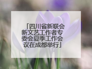 四川省新联会新文艺工作者专委会夏季工作会议在成都举行