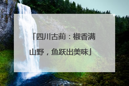 四川古蔺：椒香满山野，鱼跃出美味