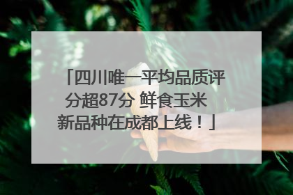 四川唯一平均品质评分超87分 鲜食玉米新品种在成都上线！