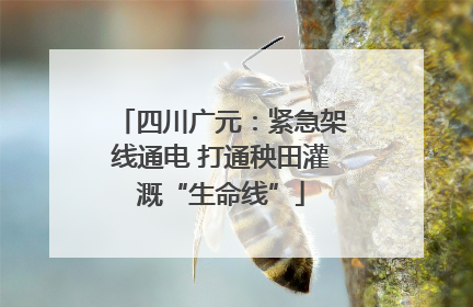 四川广元：紧急架线通电 打通秧田灌溉“生命线”