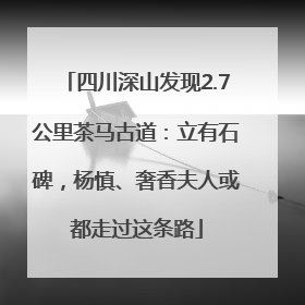 四川深山发现2.7公里茶马古道：立有石碑，杨慎、奢香夫人或都走过这条路