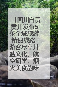 四川自贡贡井发布5条全域旅游精品线路 游客尽享井盐文化、航空研学、烟火美食韵味