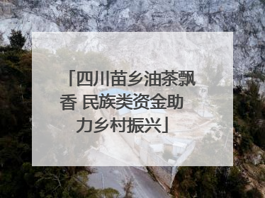 四川苗乡油茶飘香 民族类资金助力乡村振兴