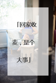 回家收麦，是个大事
