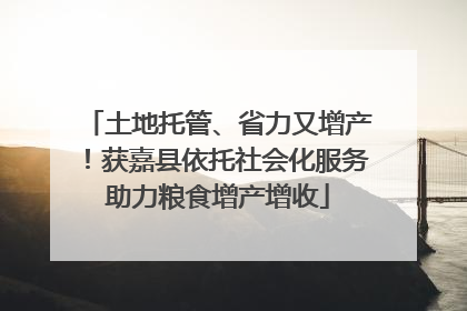 土地托管、省力又增产！获嘉县依托社会化服务助力粮食增产增收