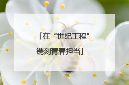 在“世纪工程”镌刻青春担当
