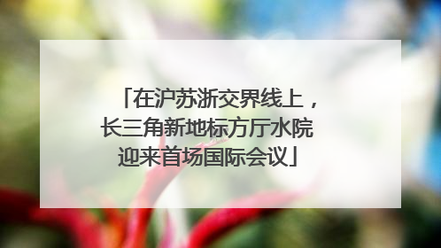 在沪苏浙交界线上，长三角新地标方厅水院迎来首场国际会议