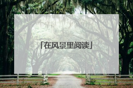 在风景里阅读