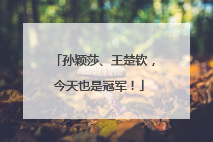 孙颖莎、王楚钦，今天也是冠军！