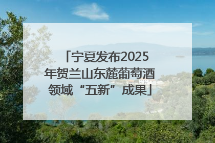 宁夏发布2025年贺兰山东麓葡萄酒领域“五新”成果