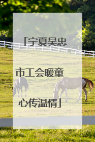 宁夏吴忠市工会暖童心传温情