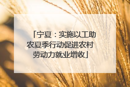 宁夏：实施以工助农夏季行动促进农村劳动力就业增收