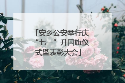 安乡公安举行庆“七一”升国旗仪式暨表彰大会