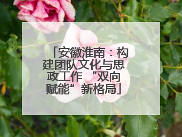 安徽淮南：构建团队文化与思政工作 “双向赋能”新格局