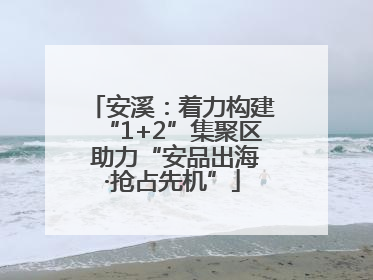 安溪：着力构建“1+2”集聚区 助力“安品出海·抢占先机”