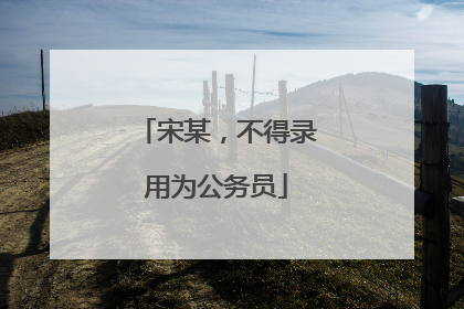 宋某，不得录用为公务员
