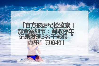 官方披露纪检监察干部查案细节：调取停车记录发现3名干部假“办事”真麻将