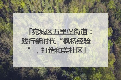 宛城区五里堡街道：践行新时代“枫桥经验”，打造和美社区