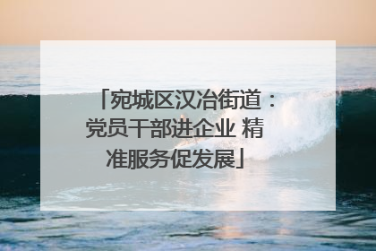 宛城区汉冶街道：党员干部进企业 精准服务促发展