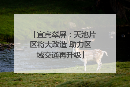 宜宾翠屏：天池片区将大改造 助力区域交通再升级