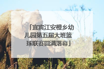 宜宾江安橙乡幼儿园第五届大班篮球联赛圆满落幕
