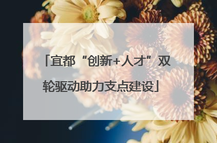 宜都“创新+人才”双轮驱动助力支点建设